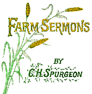 Farm Sermons