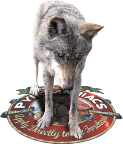 Coyote Ugly