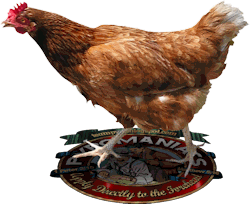 chicken