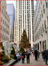 The famous Christmas tree in Rockefeller Plaza